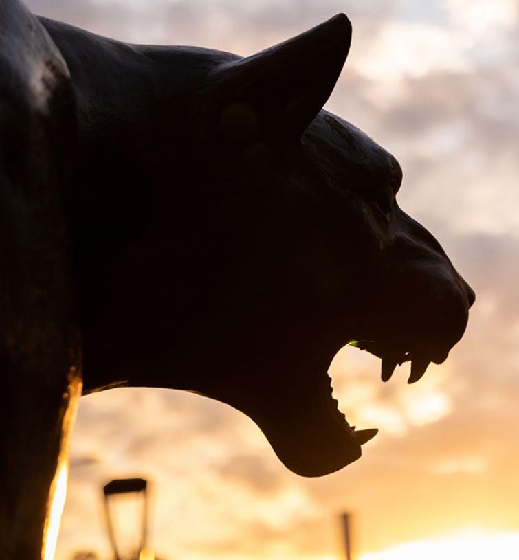 Roc statue at sunset