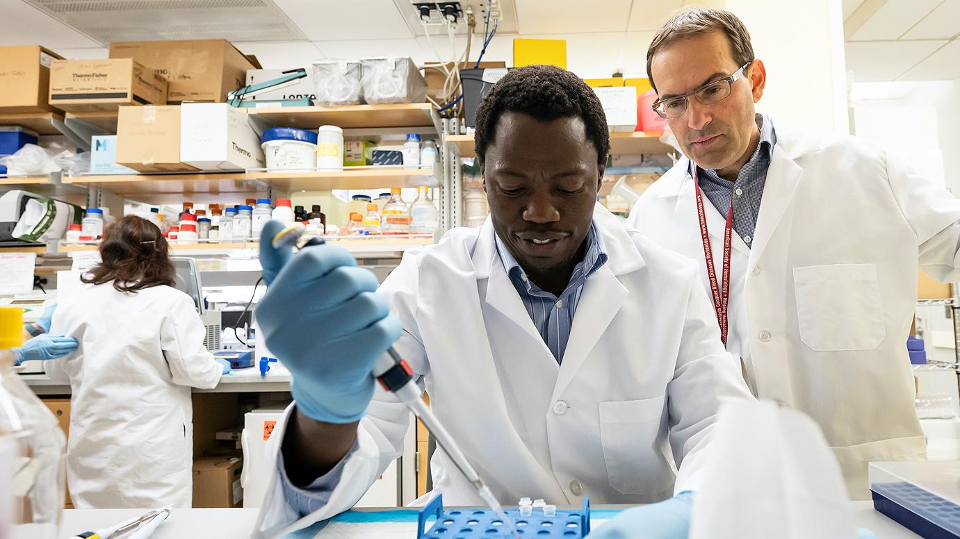 Researchers in a lab